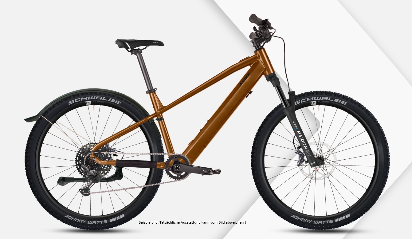 R A C E M A X X 29" ELF Ride 60 1X11