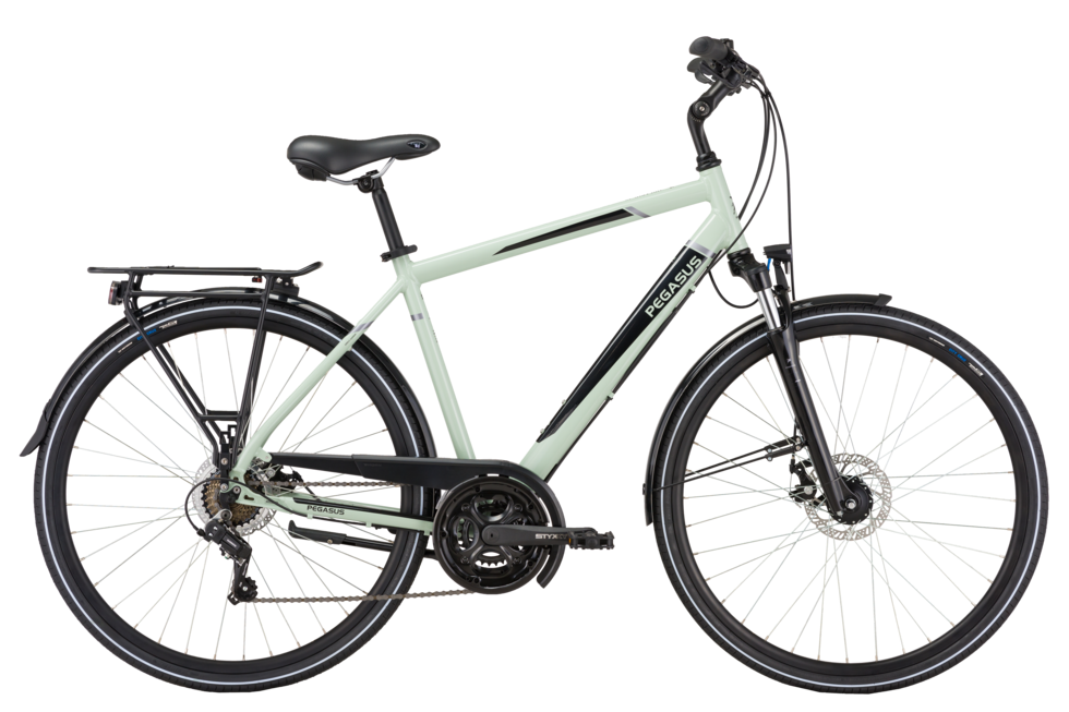 Ancura Disc 21
