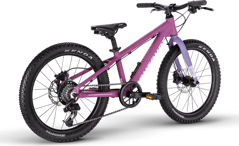 X-COADY 20 SL DISC