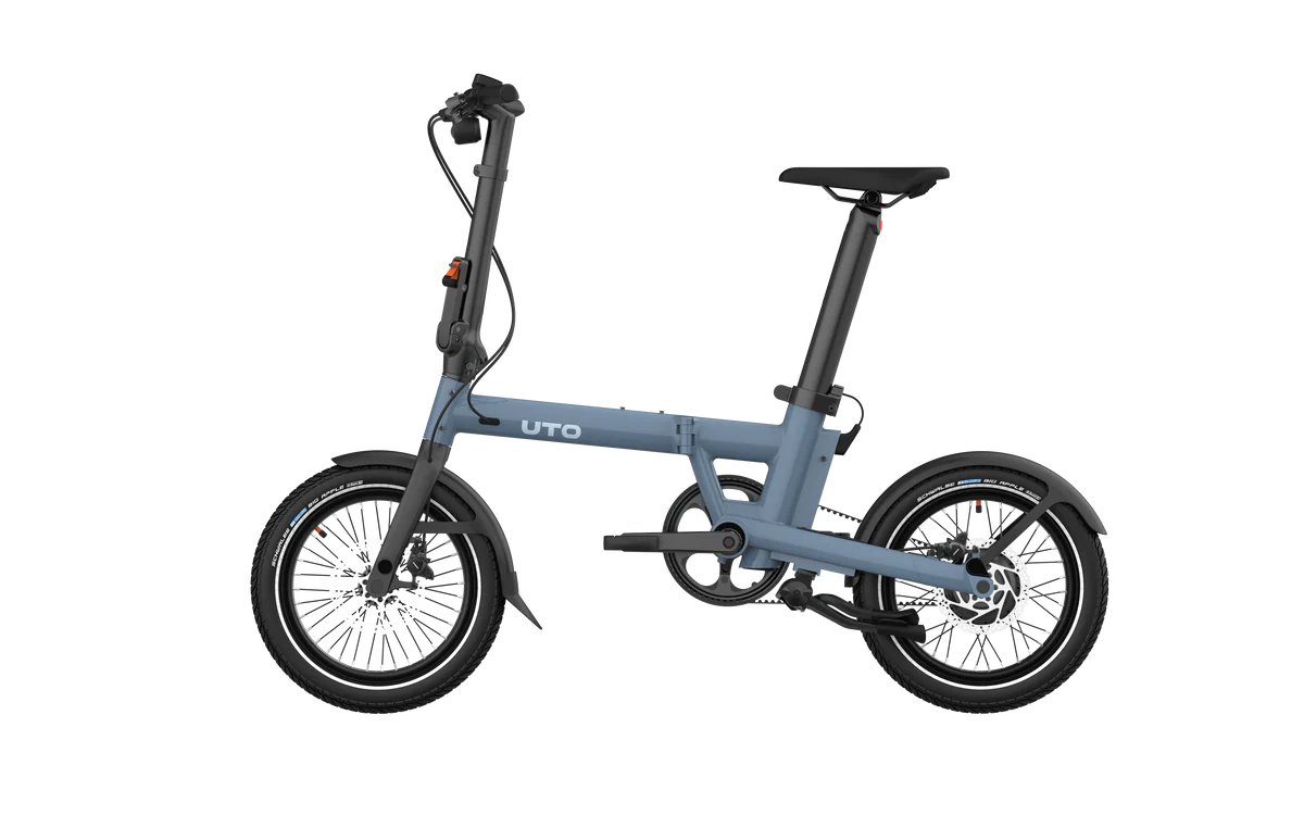 PRO16 ex Morning Pro