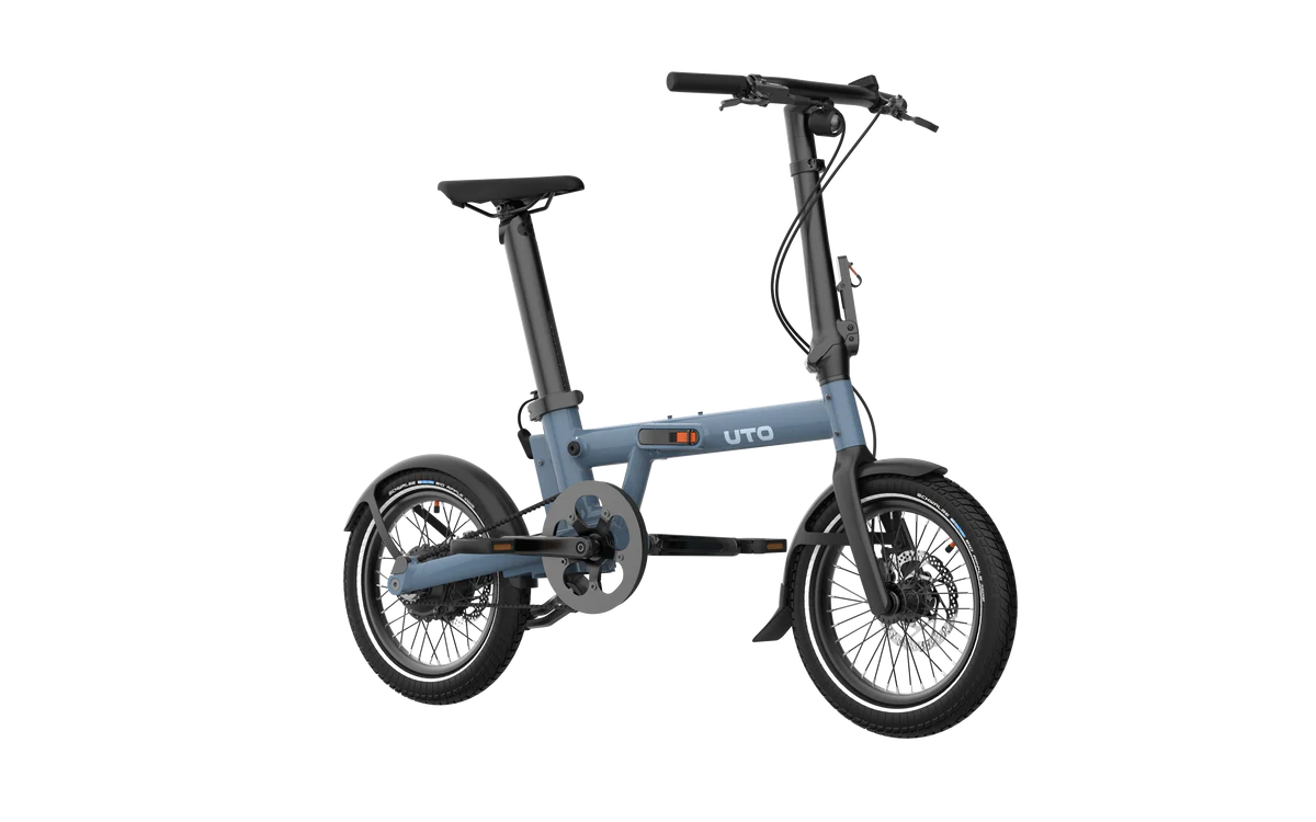 PRO16 ex Morning Pro