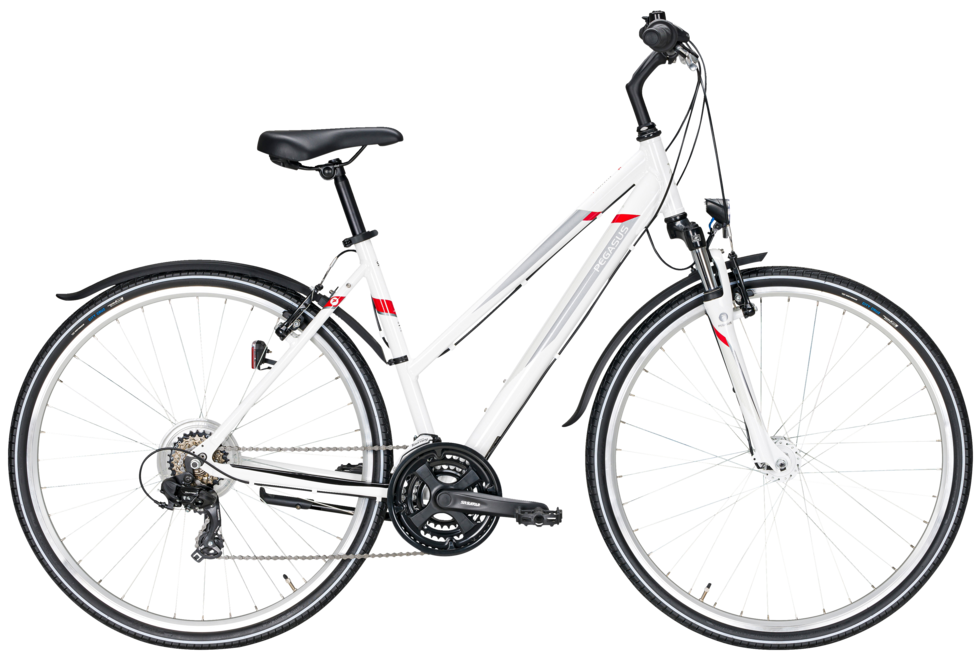 Avanti Sport 18
