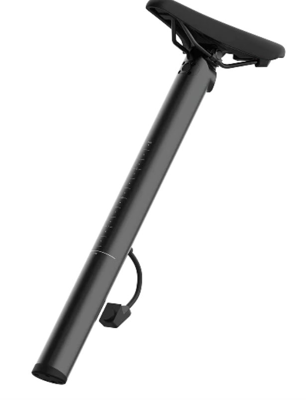 PRO16 ex Morning Pro