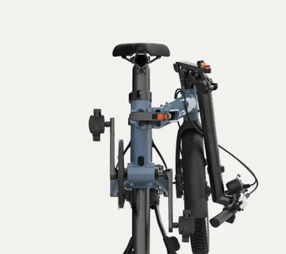 PRO16 ex Morning Pro