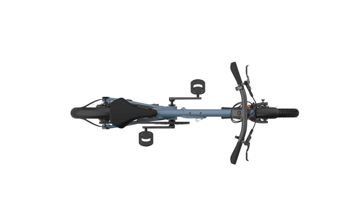 PRO16 ex Morning Pro