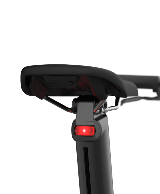 PRO16 ex Morning Pro