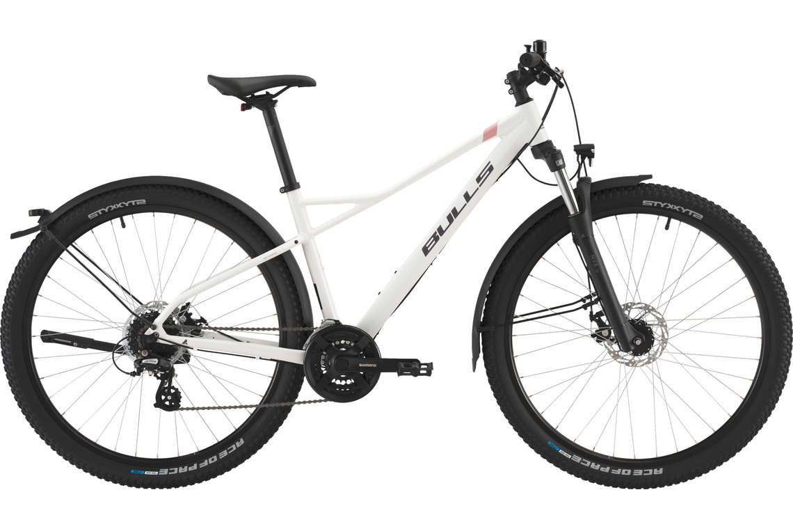 SHARPTAIL STREET 2